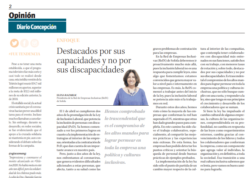 Columna Presidenta ReIN en Diario Concepción: 